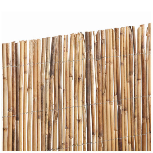 Cana de bambu inteira 1,5x5 m