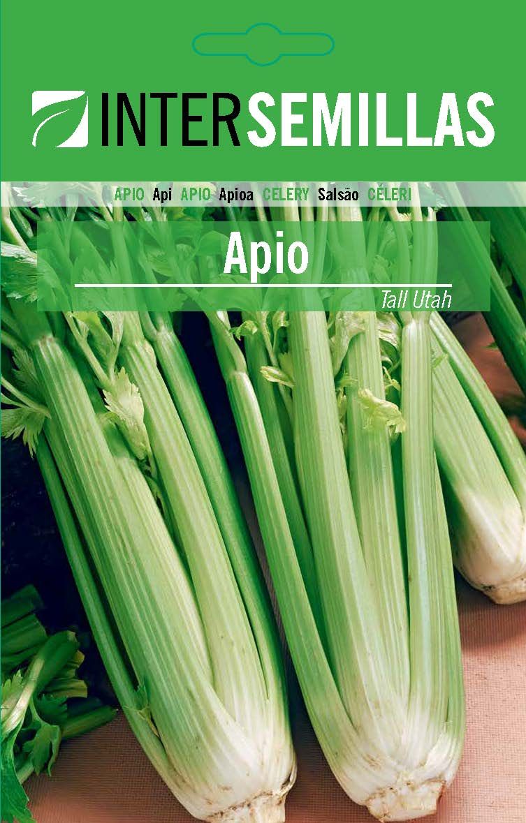 Apio Tall Utha Sobre De Semillas Cerrado_0