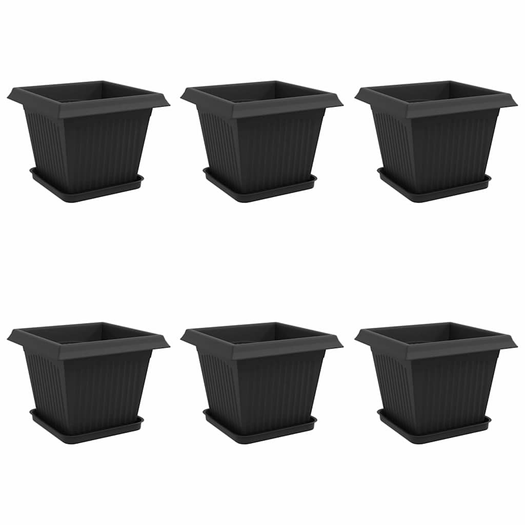 Macetas 6 Uds. Negro Plástico_0