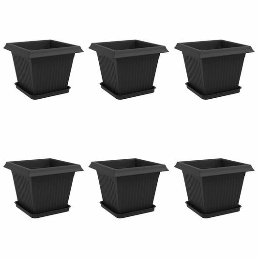 Macetas 6 Uds. Negro Plástico_0