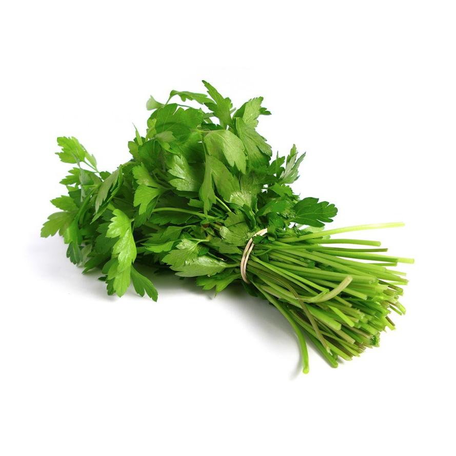 Mudas de Coentros, 6 unidades. Linha Tradicional