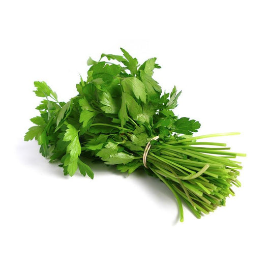Mudas de Coentros, 6 unidades. Linha Tradicional