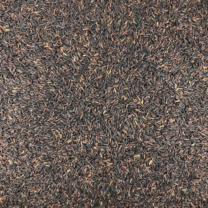 Arroz Negro Ecológico Granel 25 Kg_2