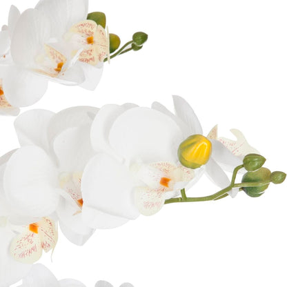 Orquídea Olla Cerámica Blanca H65_1
