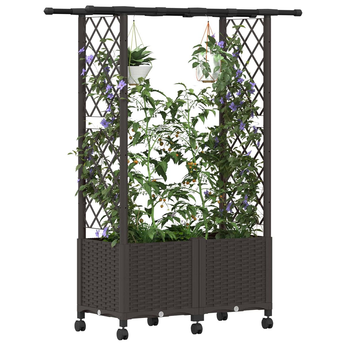 Cama Elevada Con Trellis Y Techo Marrón 124,5 X 40 X 142 Cm Pp_2