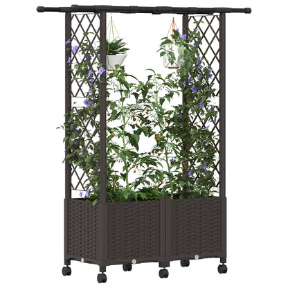 Cama Elevada Con Trellis Y Techo Marrón 124,5 X 40 X 142 Cm Pp_2