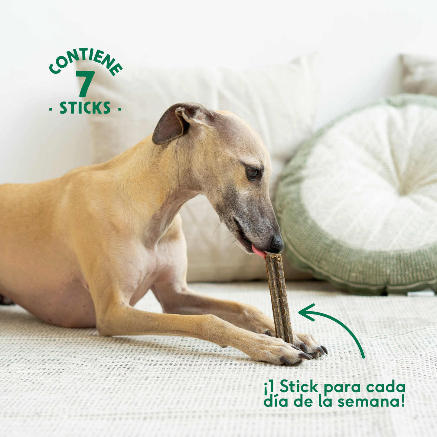 Wild Balance Dental Calmante Anti-Stress Stick 7 unidades.