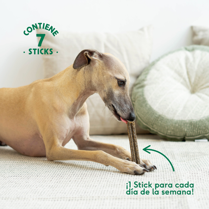 Wild Balance Dental Calmante Anti-Stress Stick 7 unidades.