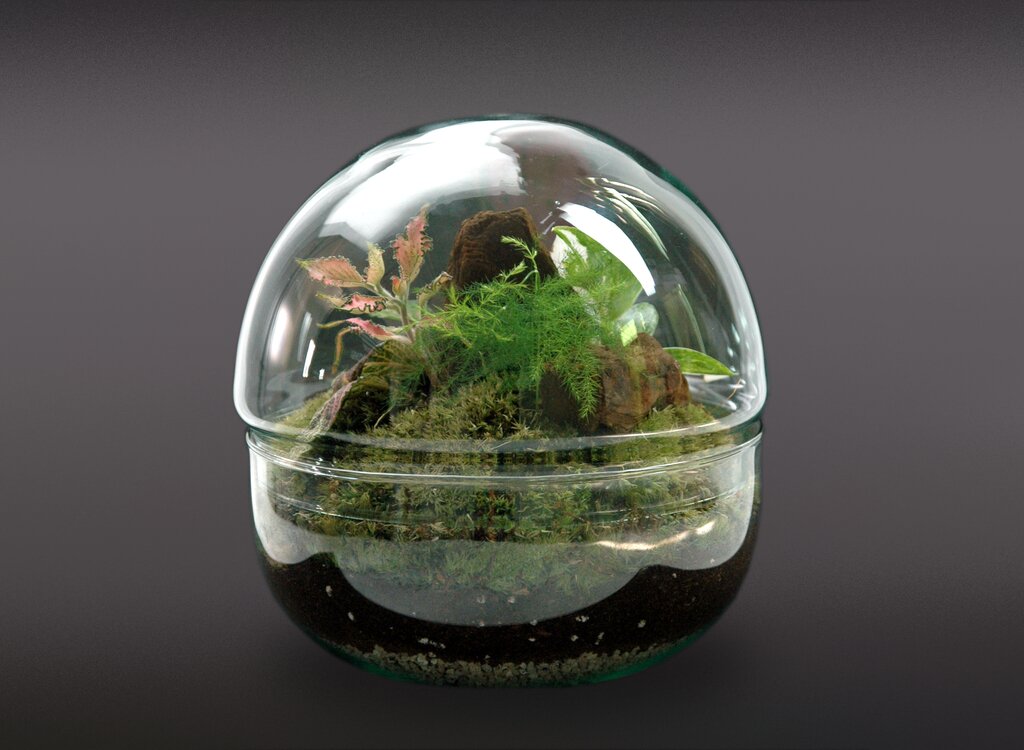 Nanogarden Terrario Ball Mix 4p 20x20cm_3