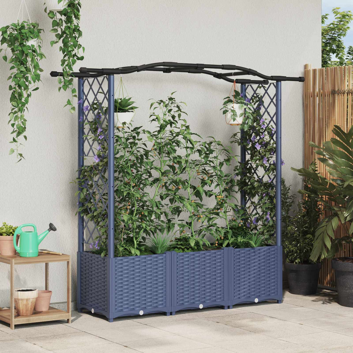 Cama Elevada Con Trellis Y Techo Gris 164 X 40 X 138 Cm Pp_1