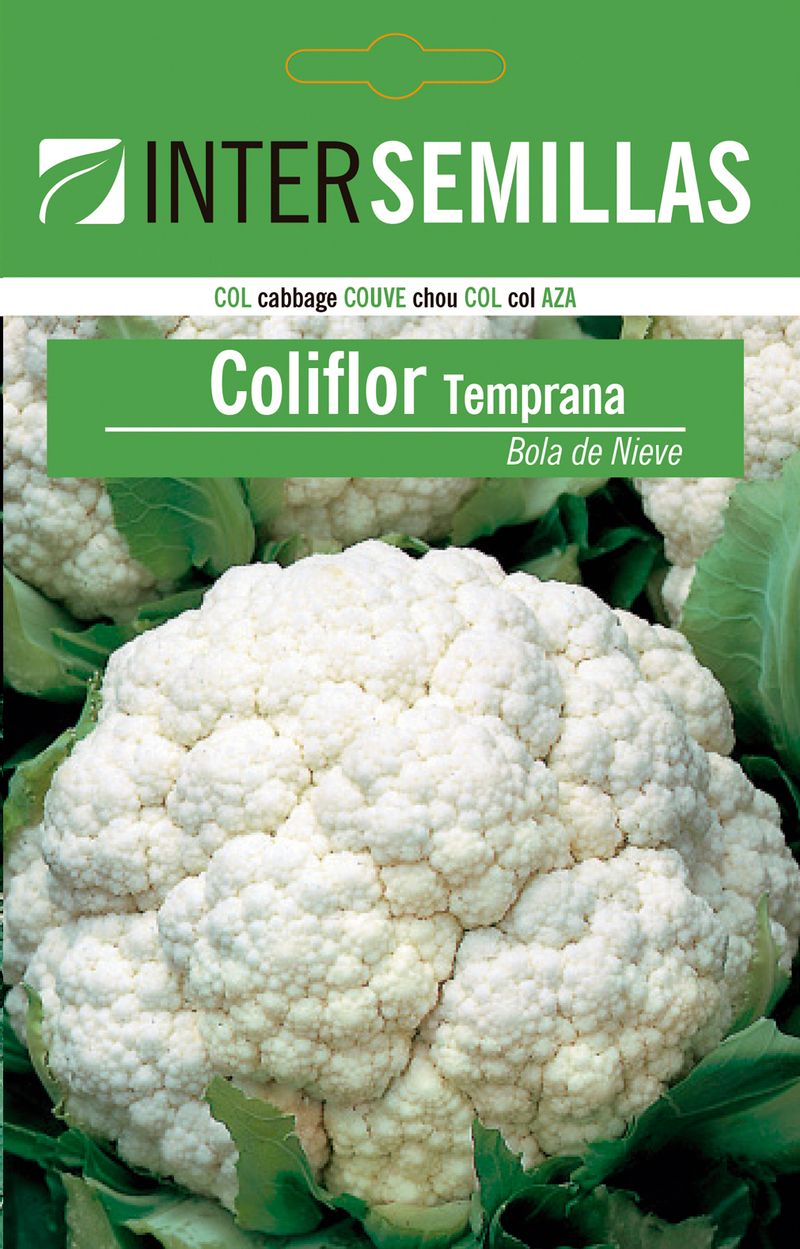 Sobre De Semillas Col Temprana Bola Nieve_0