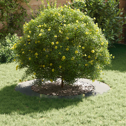 Adecuado Para Anillo De Árbol Plano Plateado Ø60/90 Cm_2
