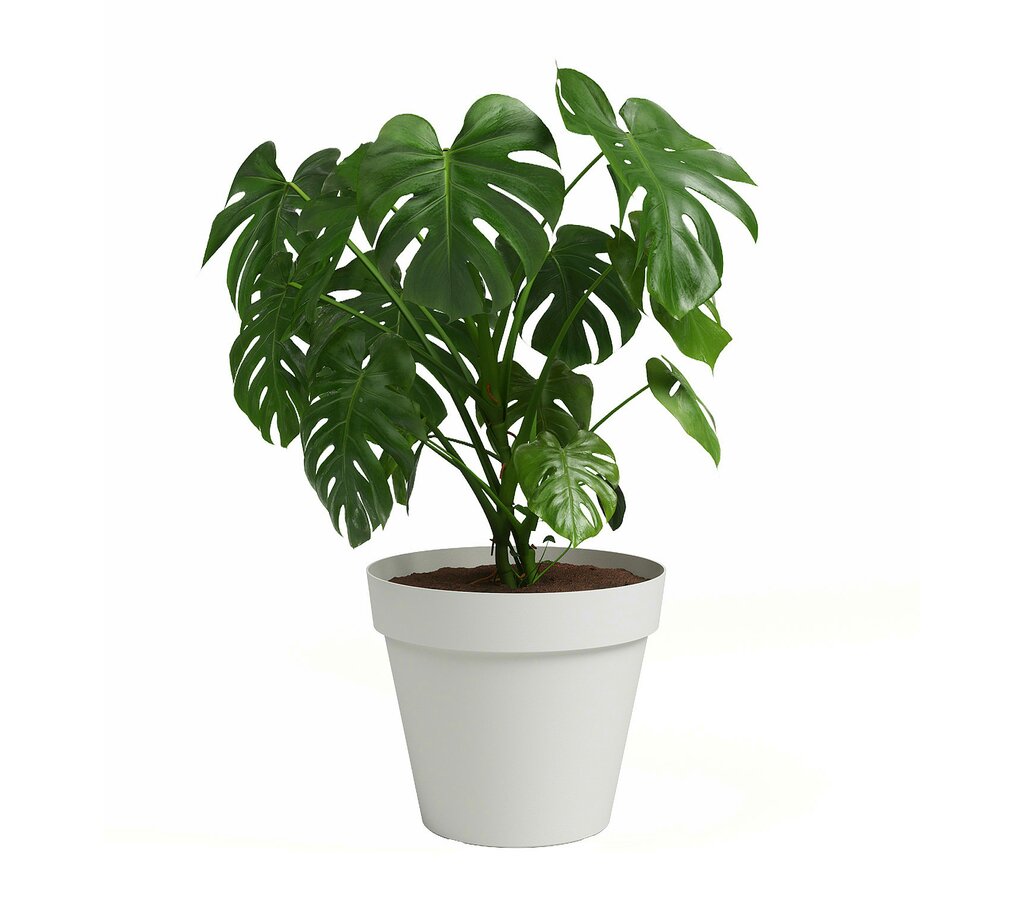 Artevasi Macetero De Plástico Capri Blanco 35cm_1
