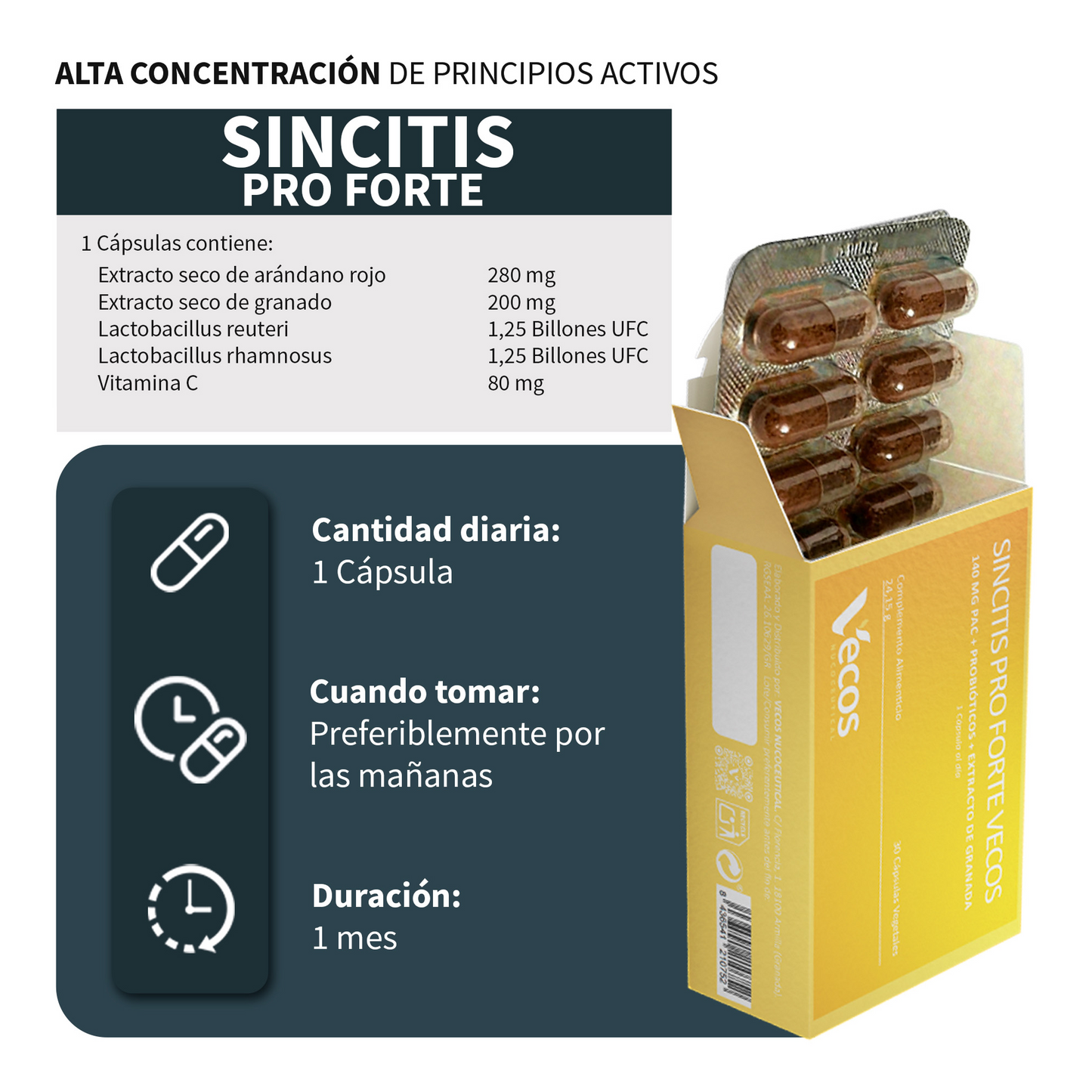 Sincitis Pro Forte Vecos 30 Cápsulas | Bienestar Femenino, Prevención De Cistitis| Arándano Rojo + Probióticos_2