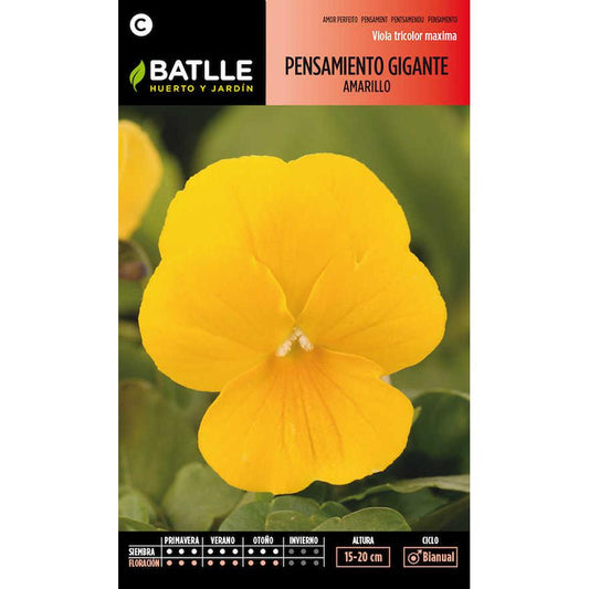 Sementes de Amor-perfeito Amarelo Gigante