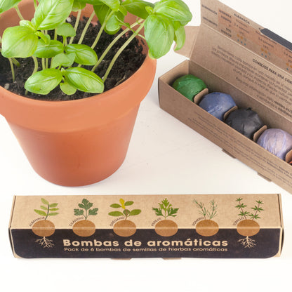 Pack 6 Bombas De Hierbas Aromáticas | Regalo Original Para Amantes De La Cocina_1
