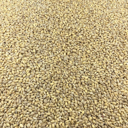 Cebada Ecológica Granel 0,25 Kg_2