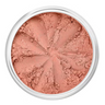 Blush mineral 3g da Lily Lolo, menina da praia