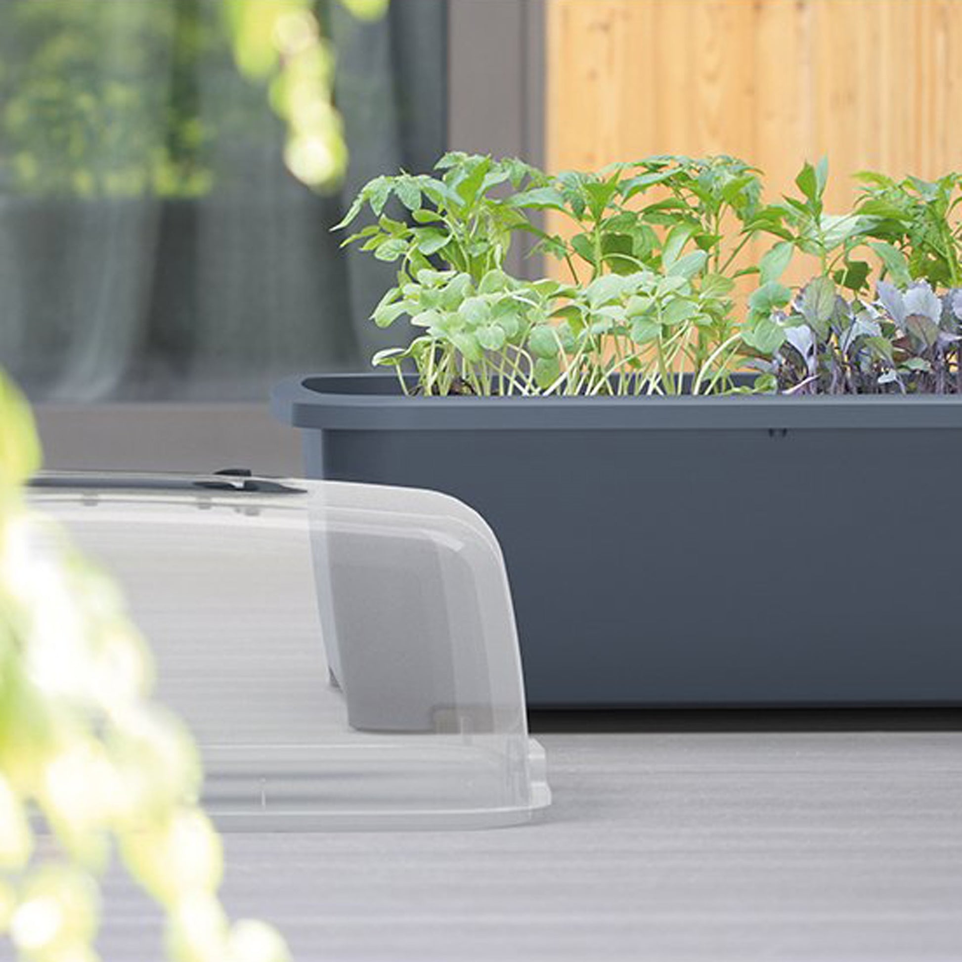 Huerto Doméstico/Jardinera Baja con Tapa de Policarbonato para Proteger tus Plantas - Prosperplast Respana Planter Wood Low de Plástico_4