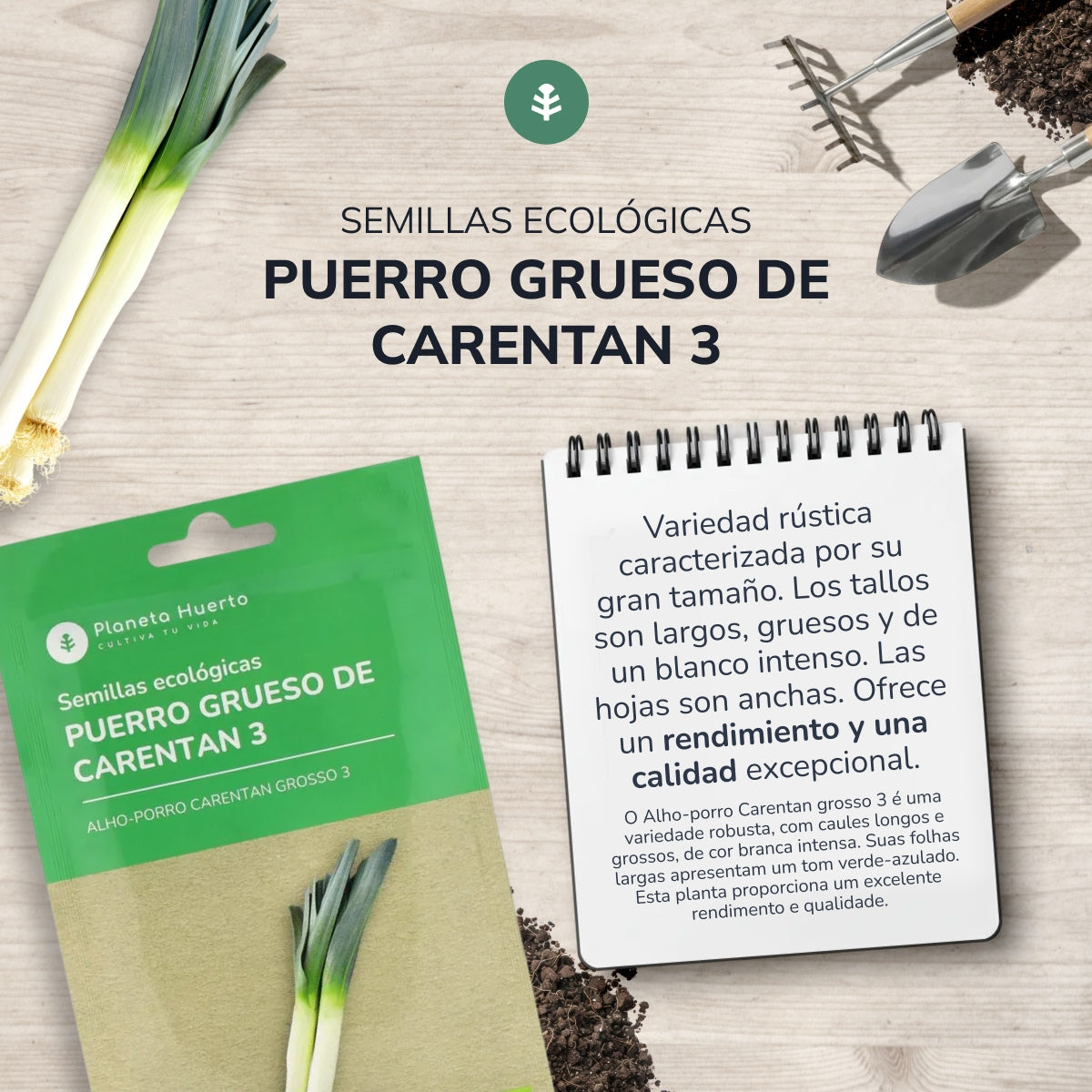 Sementes de alho-francês grossas biológicas Carentan da Planeta Huerto