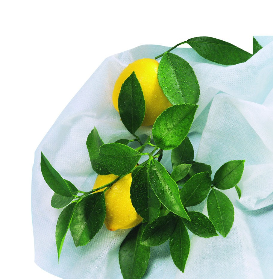 Cobertura de hibernação para plantas Hiversac Nortene