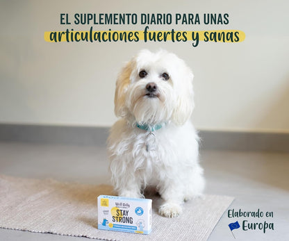 Wolf Belly Stay Strong Cálcio para cães e gatos Suplemento alimentar BARF 30 comprimidos