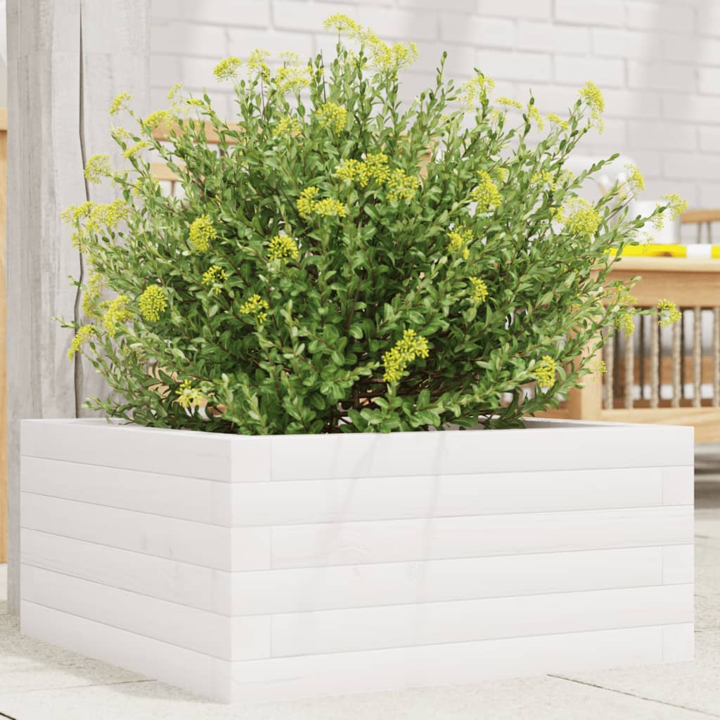 Jardinera De Madera Maciza De Pino Blanco 50x50x23 Cm_1