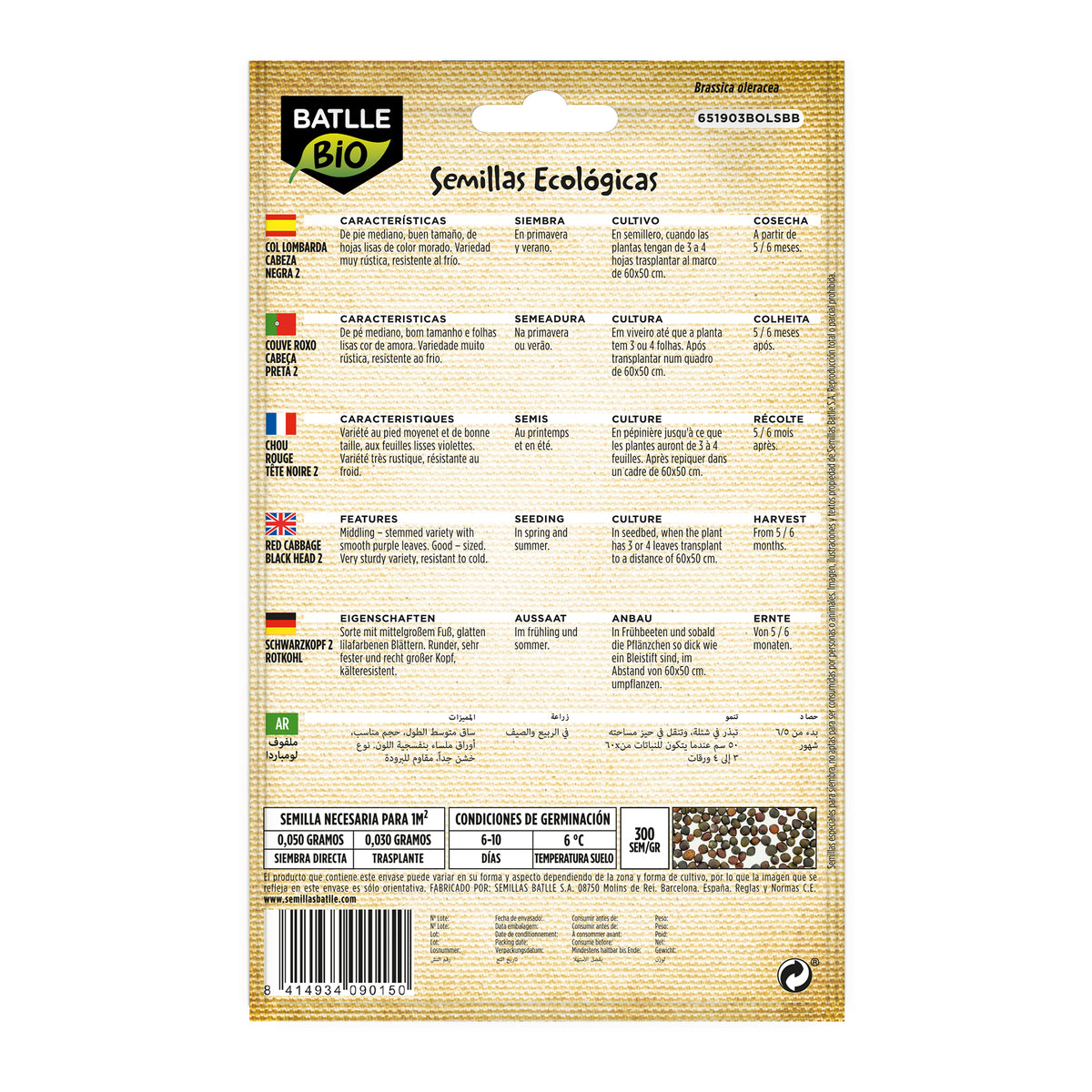 Sementes de couve roxa com cravo biológico Batlle 2