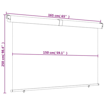 Vidaxl Toldo Lateral De Balcón Gris Oscuro 165x250 Cm_2