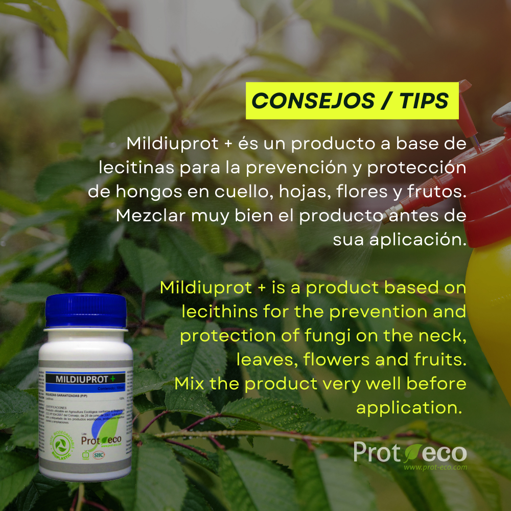 Tratamiento Ecológico Contra Mildiu En Plantas Mildiuprot Prot-eco (100 Ml)+ pipeta dosificadora de 5 ml gratis_2