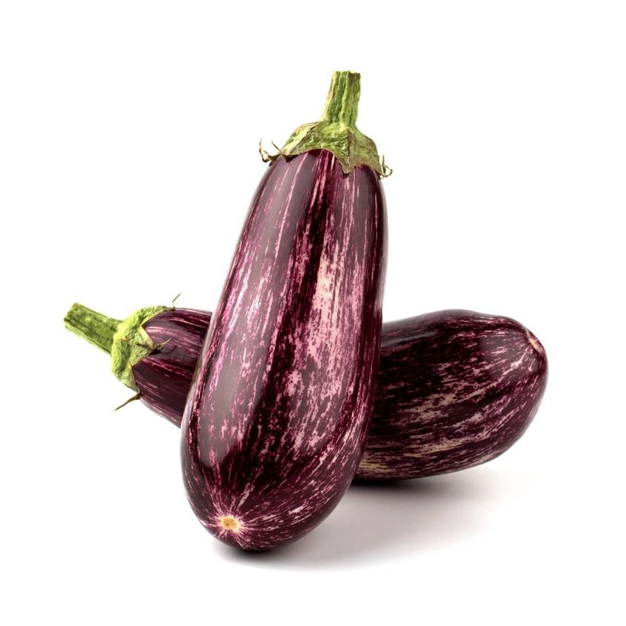 Mudas de Beringela Riscas 6 unidades Linha Tradicional