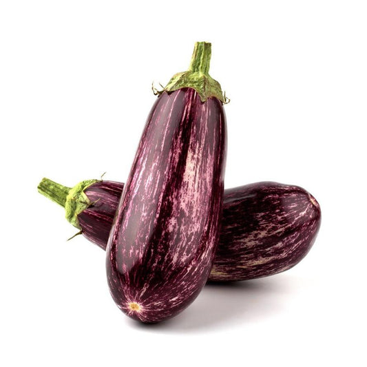 Mudas de Beringela Riscas 6 unidades Linha Tradicional