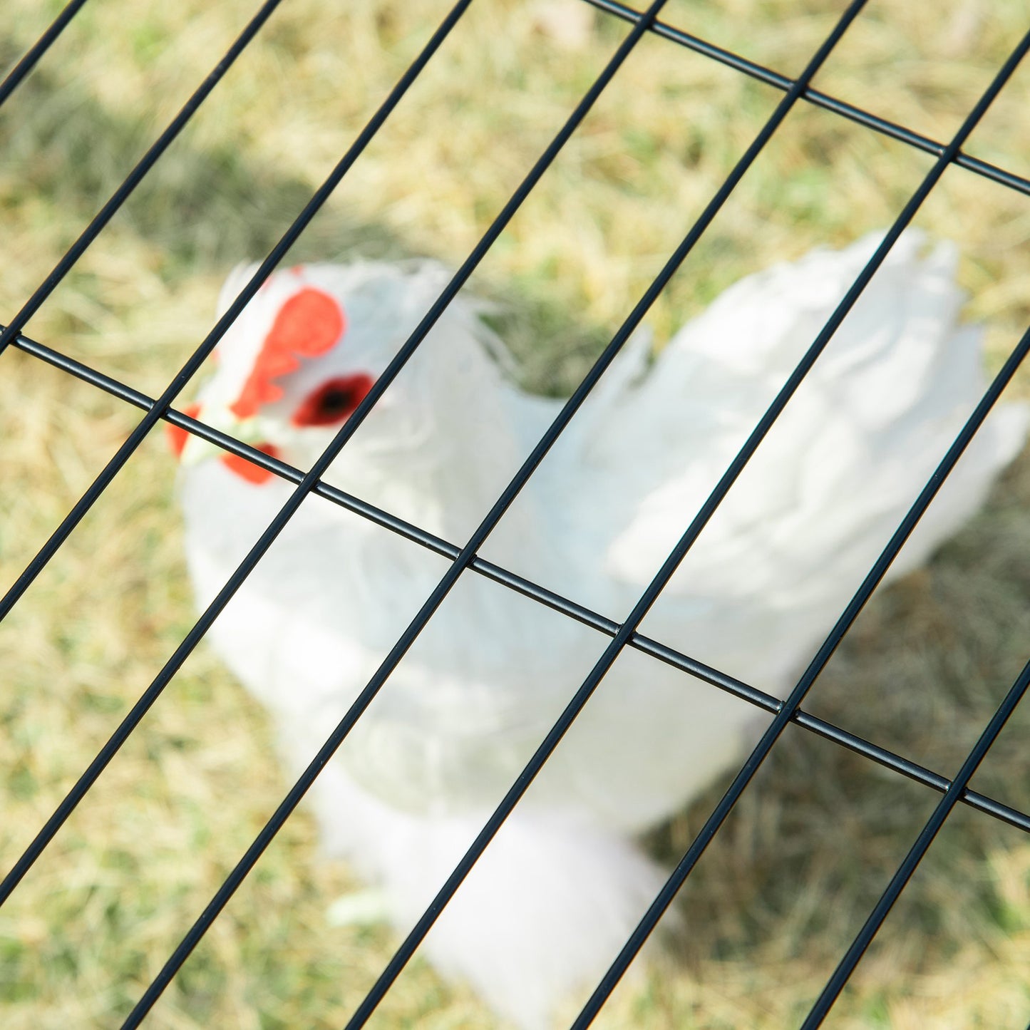 Pawhut Gallinero Para Exterior Para Gallinas Acero Con Toldo 201,5x156x120 Cm_3
