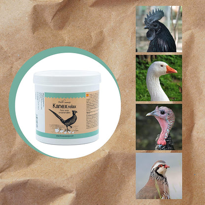 Suplemento Anti Picaje Para Aves De Corral – Kanex Relax 700 G - Minerales Y Vitaminas Para Gallinas, Faisanes, Pollitos_3