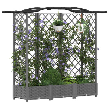Cama Elevada Con Trellis Y Techo Gris Claro 163 X 40 X 123 Cm_2
