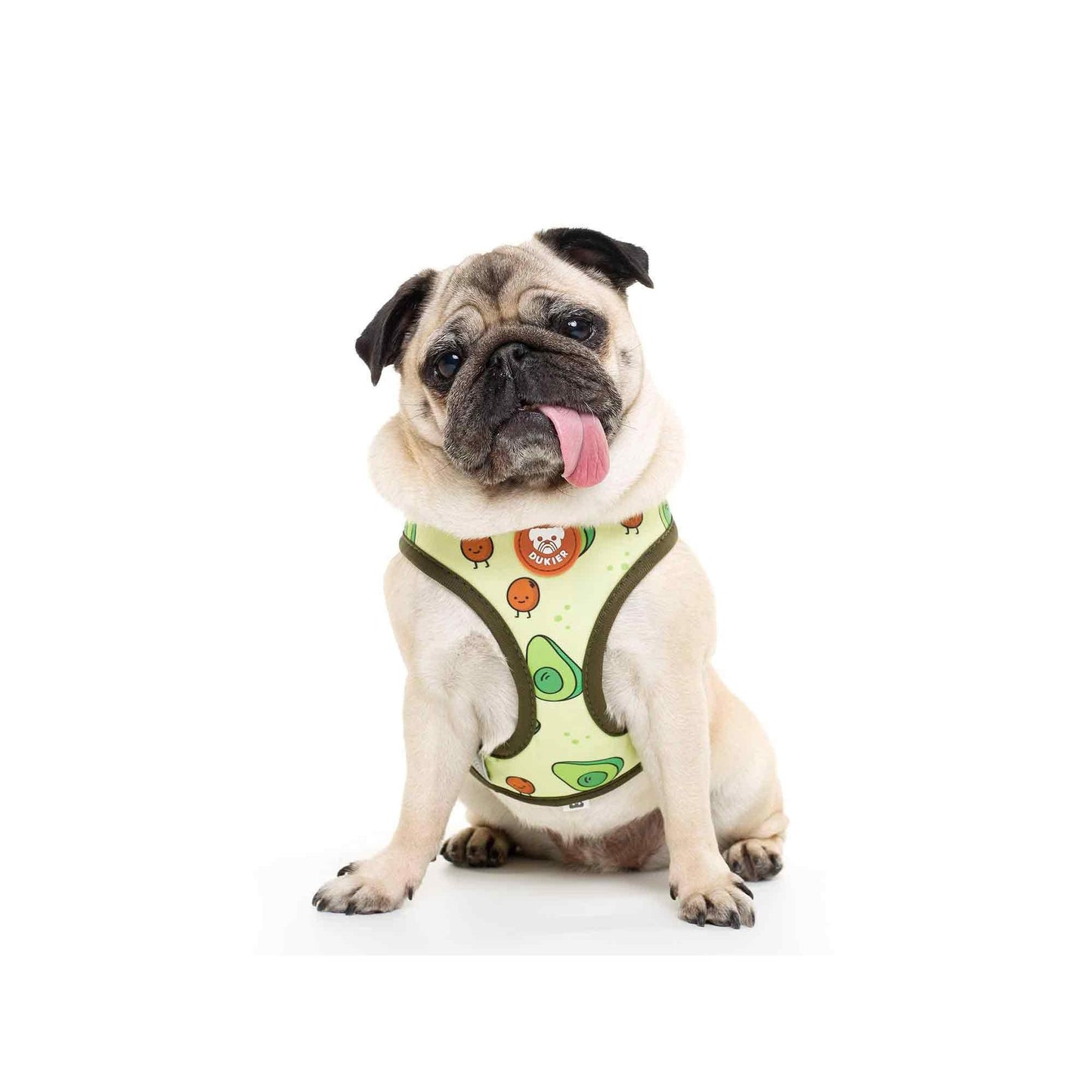 Arnés reversible para perro AVOCADO Dukier XL