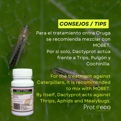 Dactyprot Prot-eco 100 Ml – Insecticida Ecológico Eficaz Contra Orugas, Cochinilla Y Otros Insectos_2