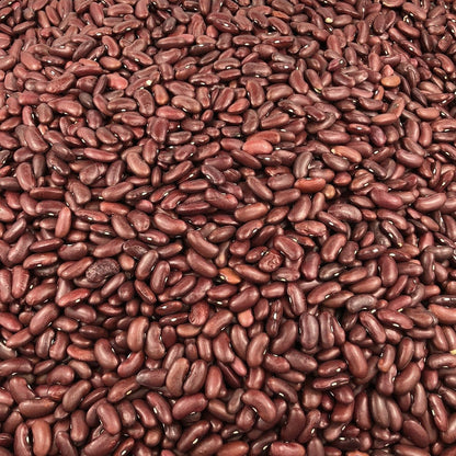 Frijol Rojo Ecológico Granel 10 Kg_2