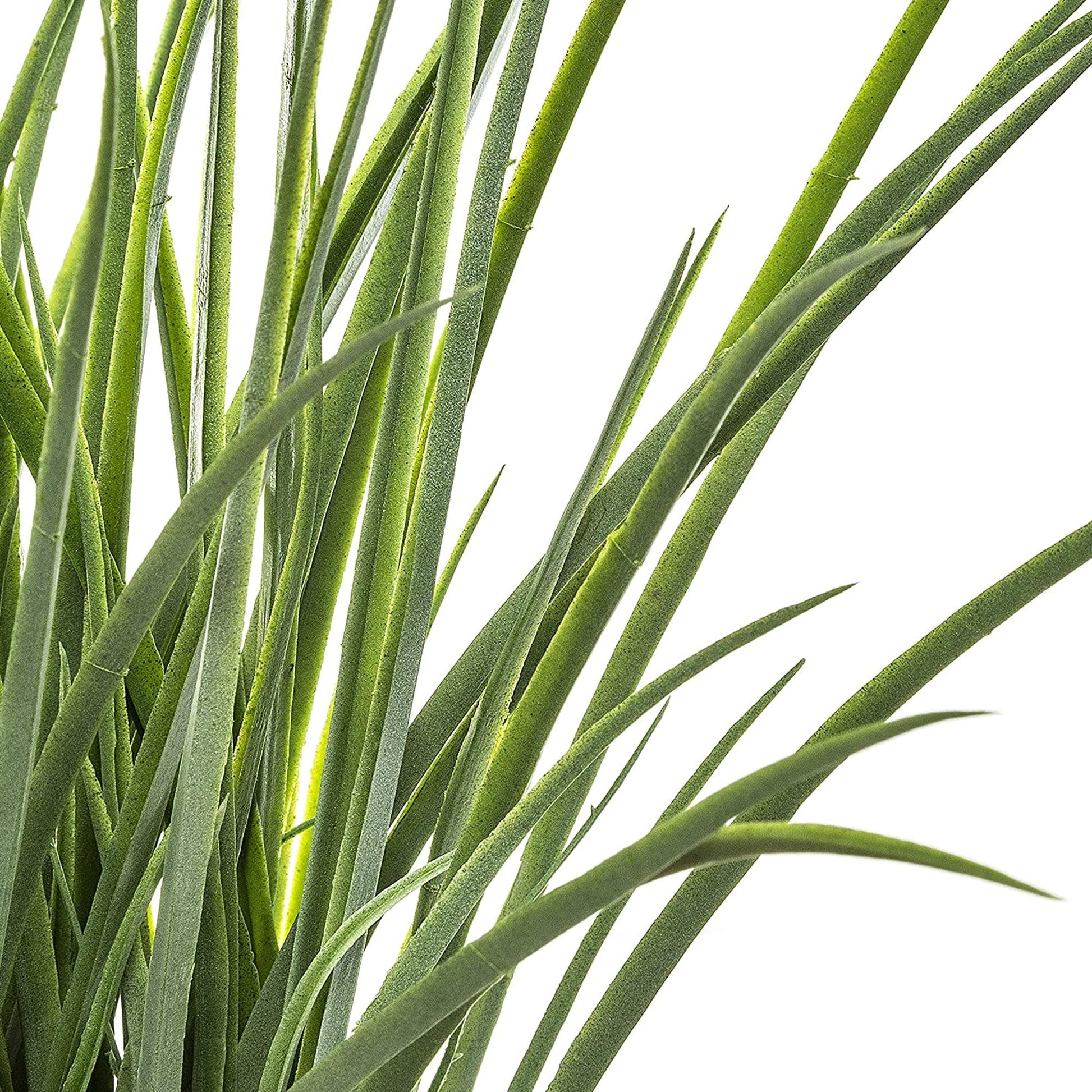 Maceta Decorativa Trenzada De Hojas De Jacinto Y Planta Decorativa L.50 X P.50