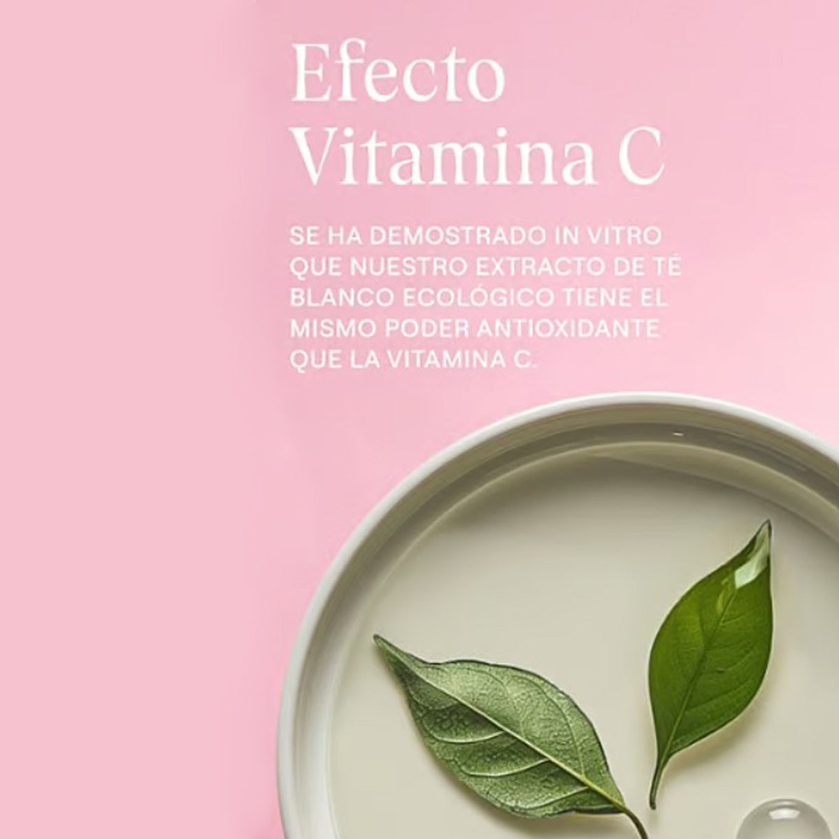Creme Suavizante de Olhos Rosa Mosqueta e Chá Branco, Weleda, 12ml