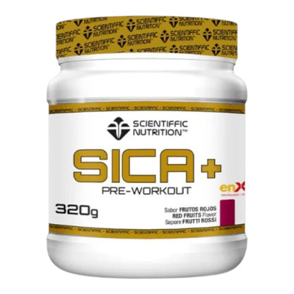Sica + 320 Gr_2