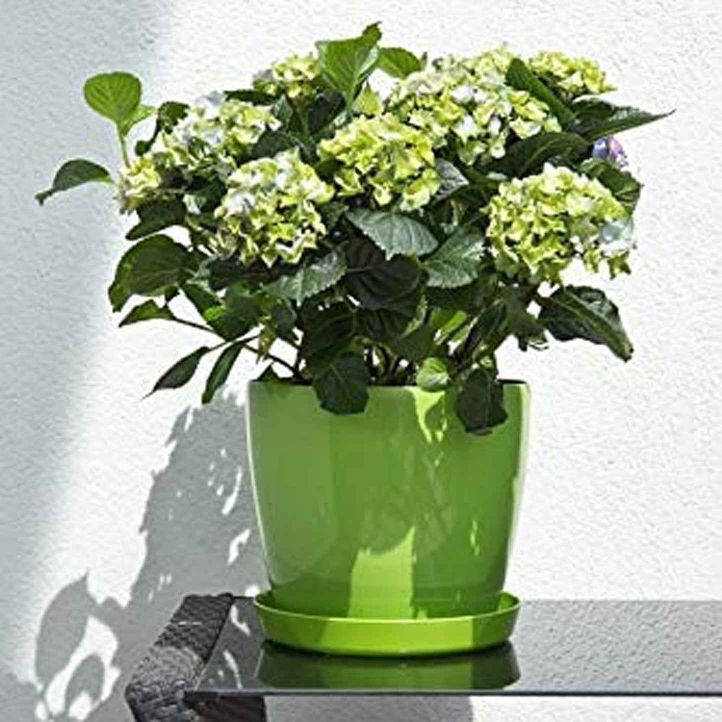 Macetero Magnolia 300 Verde Claro