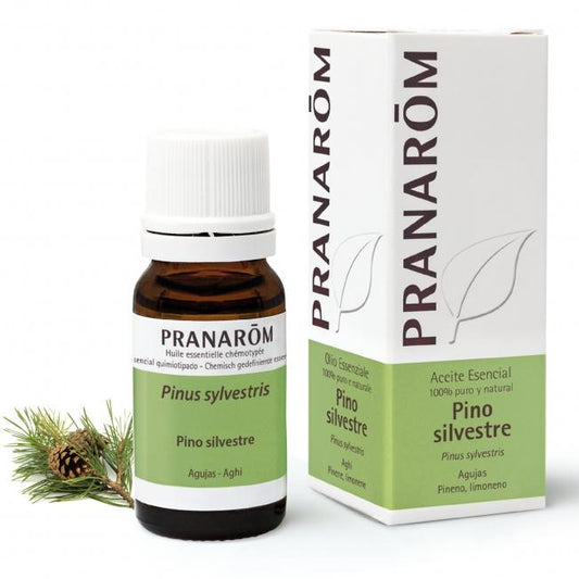 Óleo Essencial de Pinheiro-silvestre 10 ml Pranarom
