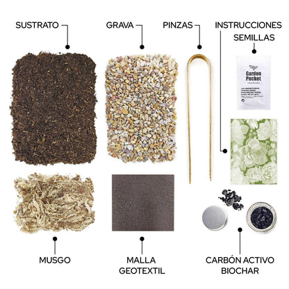 Kit Terrário para Suculentas