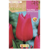 Bulbo Tulipa Marvel Rosa Natal 5 unidades Rocalba