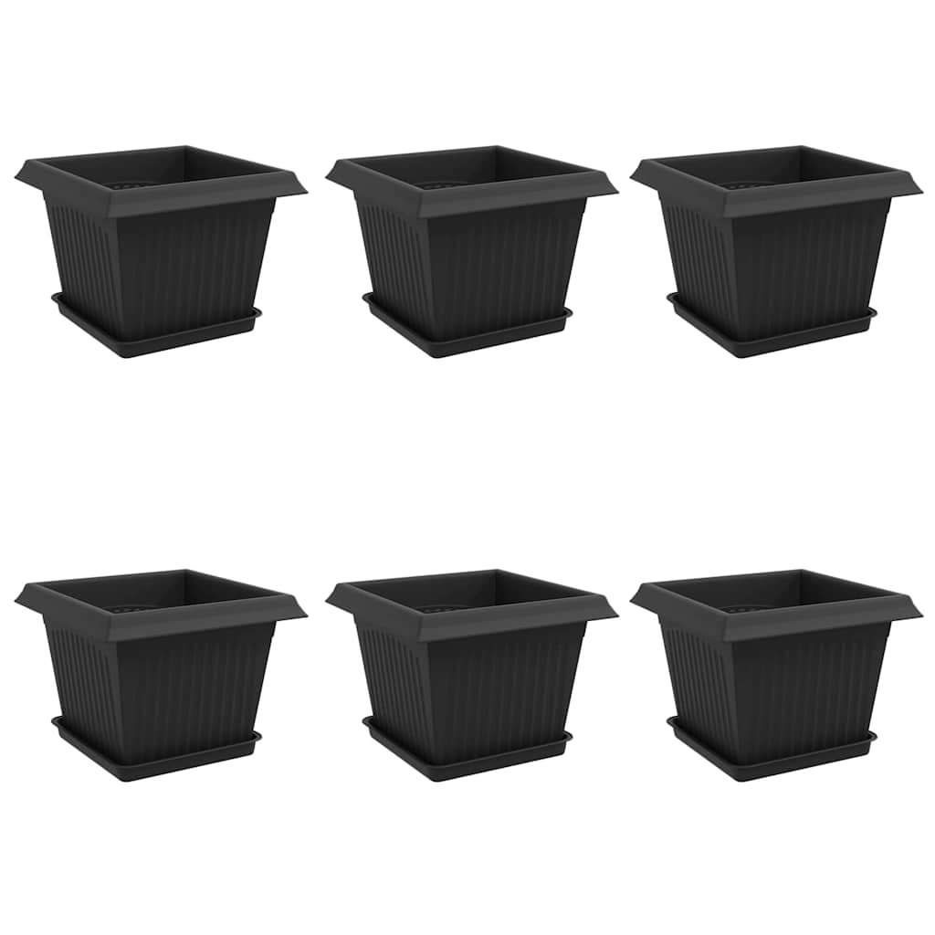 Macetas 6 Uds. Negro Plástico_0