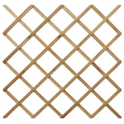 Celosia De Madera Extensible Trelliwood 0.5x1.5m Nortene_2