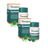 Embalagem 2X Cystone Himalaya 100 comprimidos