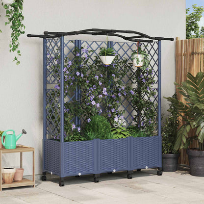 Cama Elevada Con Trellis Y Techo Gris 163 X 40 X 144 Cm Pp_1