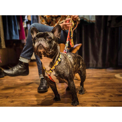 SUPERDOG Dukier Classic Peitoral para Cães